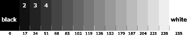 grayscale to set monitor